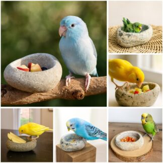 Natural Stone Bird Bath and Fruit Dish for Small Birds | Finch, Canary, Parrotlet, Budgie | Mini Terrarium Bowl