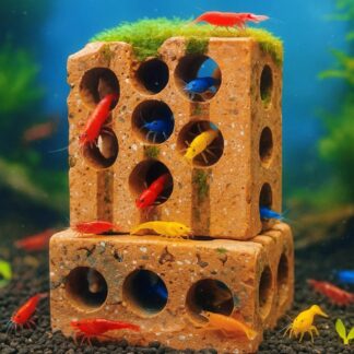 Shrimp Cave | Terracotta Aquarium Hide | Handmade Clay Shrimp Shelter | Aquascape Decor | Safe for Neo and Caridina | Natural Tank Decoration