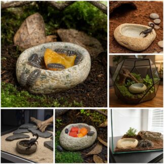 Tarantula Water Dish | Natural Stone Insect Bowl | Scorpion and Isopod Feeding Dish | Reptile Terrarium Decor