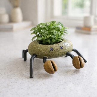 Mini Planter for Succulents, Crab Planter, Animal Shaped Plant Pot, Pebble Plant Pot, Cute Desk Decor, Handmade Stone Planter