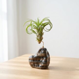Natural Stone Air Plant Holder: Tillandsia Wire Display Stand, Boho Desk Accessories