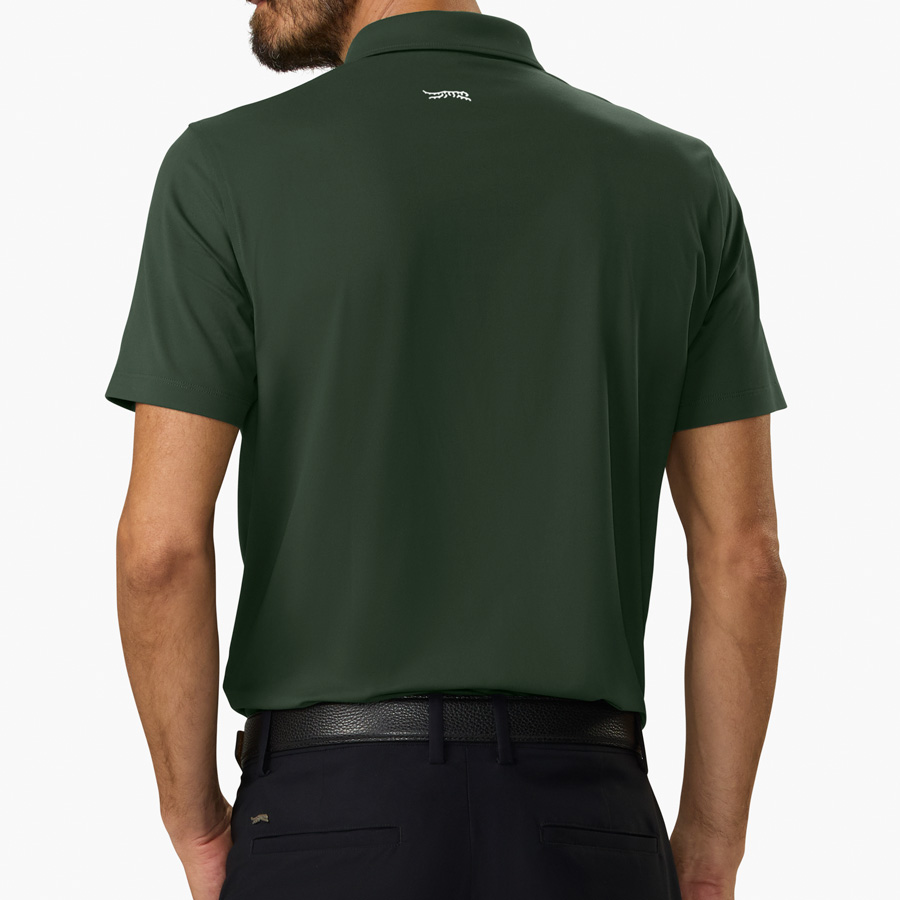 Icon Polo II