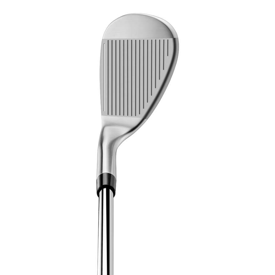 Qi Max Wedge